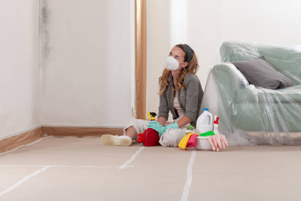 Reliable Basement Mold Remediation contractor in Upperville, VA by WQB Mold Removal